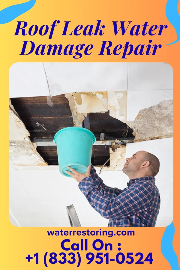 Roof Leak Water Damage Repair in Glenwood, UT