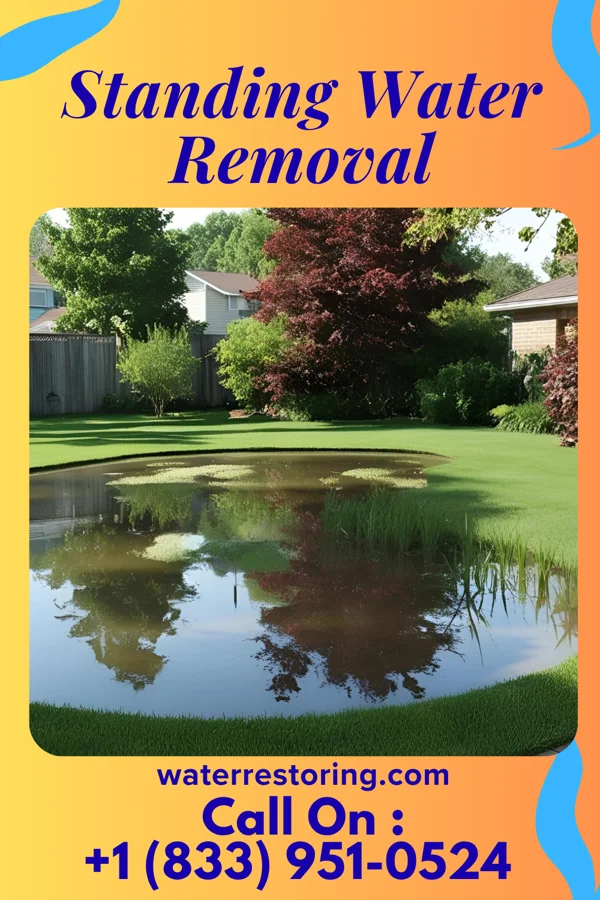 Standing Water Removal in Glenwood, UT